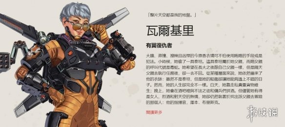 技术细节的